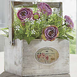 Cabbage Rose Plant in Rustic Wood Box