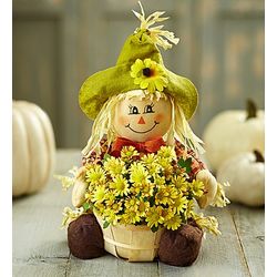 Fall Country Mum Plant with Scarecrow