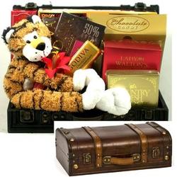 Tye the Tiger and Gourmet Goodies Go Wild Gift Trunk