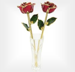 Two 11" Red and Gold Trimmed Roses with Vase