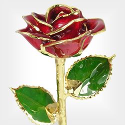 11" 24k Gold Trimmed Red Rose