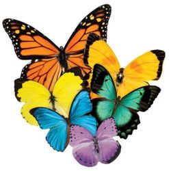 500 Piece Beautiful Butterflies Puzzle