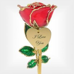 Preserved 8" Rose with a Message from the Heart Tag