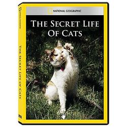 Secret Life of Cats DVD
