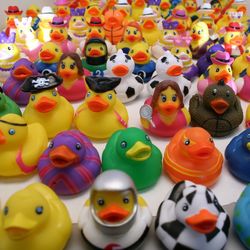 100 Assortment Rubber Ducks