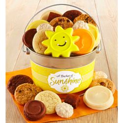 Bucket of Sunshine Brownies and Cookies Gift Pail