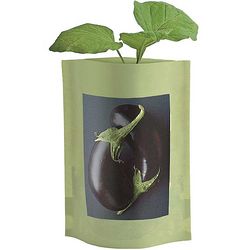 Black Beauty Eggplant Organic Seed Starts Pouch