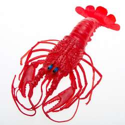 Rubber Lobster