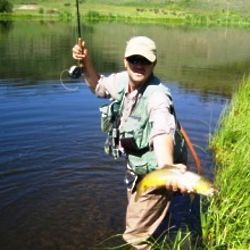 Colorado Fly Fishing Wade Trip for 1