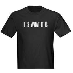 It Is What It Is T-Shirt - FindGift.com