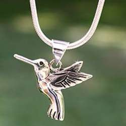 Hummingbird Secrets Necklace