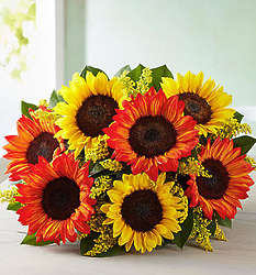 Happy Days Sunflower Bouquet