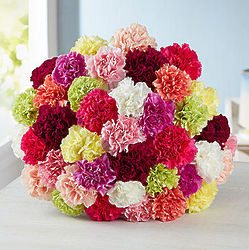 Colorful 40 Carnation Bouquet