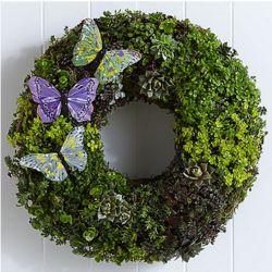 Butterfly Succulent Wreath