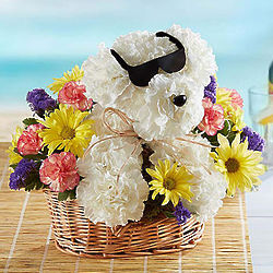 Cool Pup Bouquet