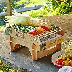 Eco-Friendly One-Time Use Instant Grill