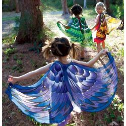 Fanciful Bird Wings Kid's Costume