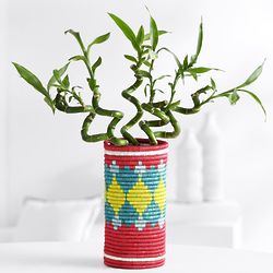 All Across Africa Bamboo in Hand-Woven Vase
