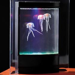 Jellyfish Aquarium with Color-Changing LED Lights