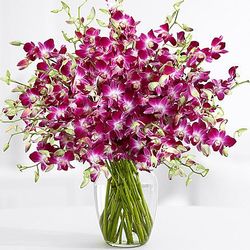 Extravagant Deluxe Purple Birthday Orchids Bouquet
