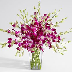 Purple Dendrobium Orchids with Square Vase and Chocolates