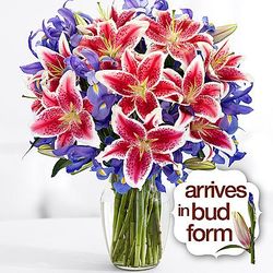Deluxe Birthday Spectacular Stargazer Lilies Bouquet