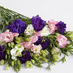 Assorted Lisianthus Bouquet