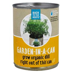 Organic Dill Garden-in-a-Can