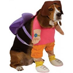 Dora the Explorer Pet Costume, Size Medium