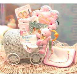 Bundle of Love Baby Gift Carriage in Teal