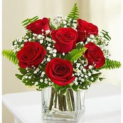 Love's Embrace Red Rose Bouquet
