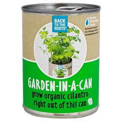 Organic Cilantro Garden-in-a-Can