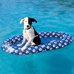 Small Paddle Paws Pet Pool Float