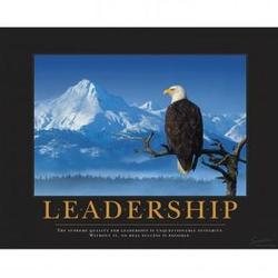 Leadership Eagle Branch Motivational Poster