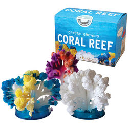 Crystal Growing Coral Reef Decoration and Art Kit