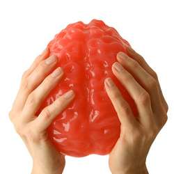 World's Largest Gummy Brain