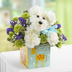 A-Dog-Able It's a Girl or Boy Bouquet