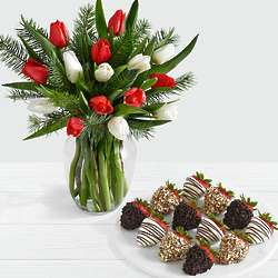 15 Christmas Tulips with Doug Fir and 12 Fancy Strawberries