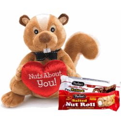 Nuts About You Plush Squirrel with Pearsons Salted Nut Rolls