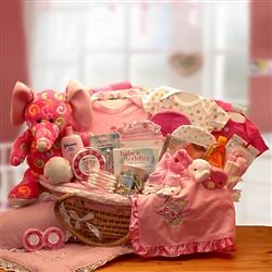 Baby Girl's Precious Petals Deluxe Gift Basket in Moses Carrier
