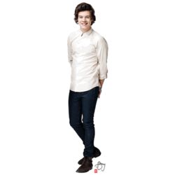 Harry Styles One Direction Cardboard Cutout Standee
