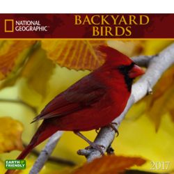 2017 Backyard Birds National Geographic Wall Calendar
