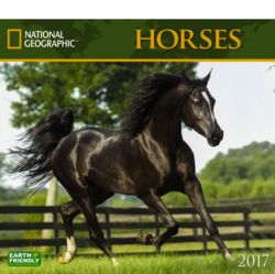 2017 Horses National Geographic Wall Calendar
