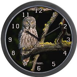 Wizard of the Ancient Forest Owl Clock