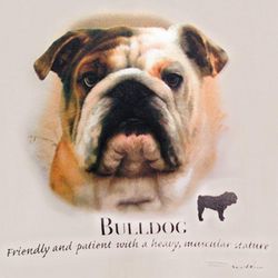 Friendly and Patient Bulldog T-Shirt