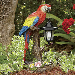 Solar Parrot with Lantern