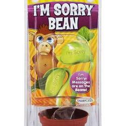 I'm Sorry Message Bean