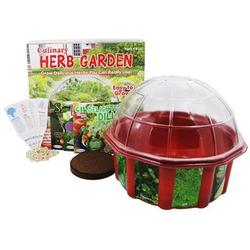 Culinary Herb Garden Dome Terrarium