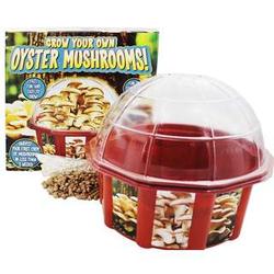 Mushroom-Growing Dome Terrarium