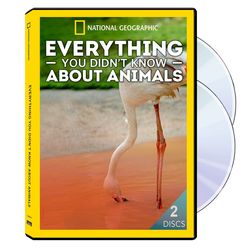 Everything You Didn't Know About Animals DVDs